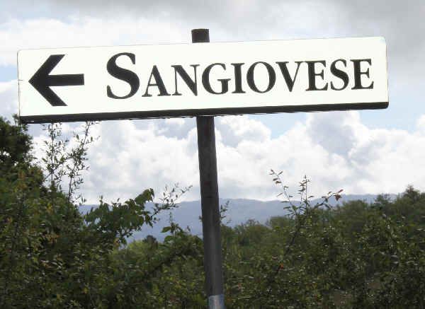 Revisiting Sangiovese