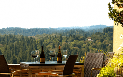 A Wild Walk in Wine World – Sonoma Wine Country